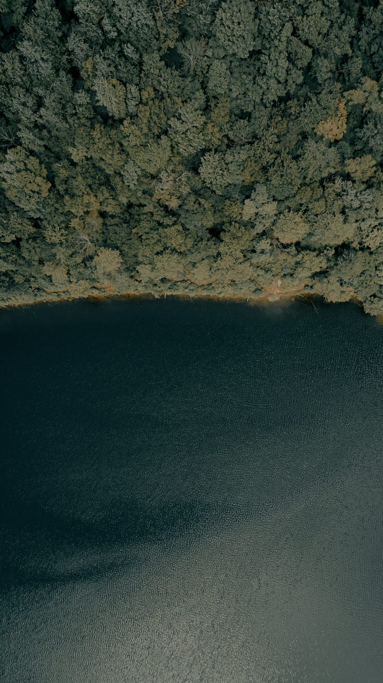 Beaverkill River: Birthplace of American Fly Fishing