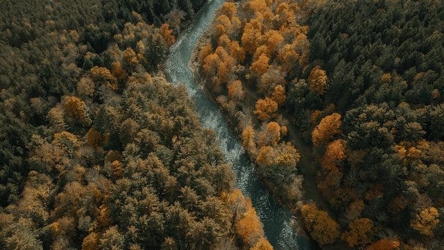 Willowemoc River: A Tributary of Tradition