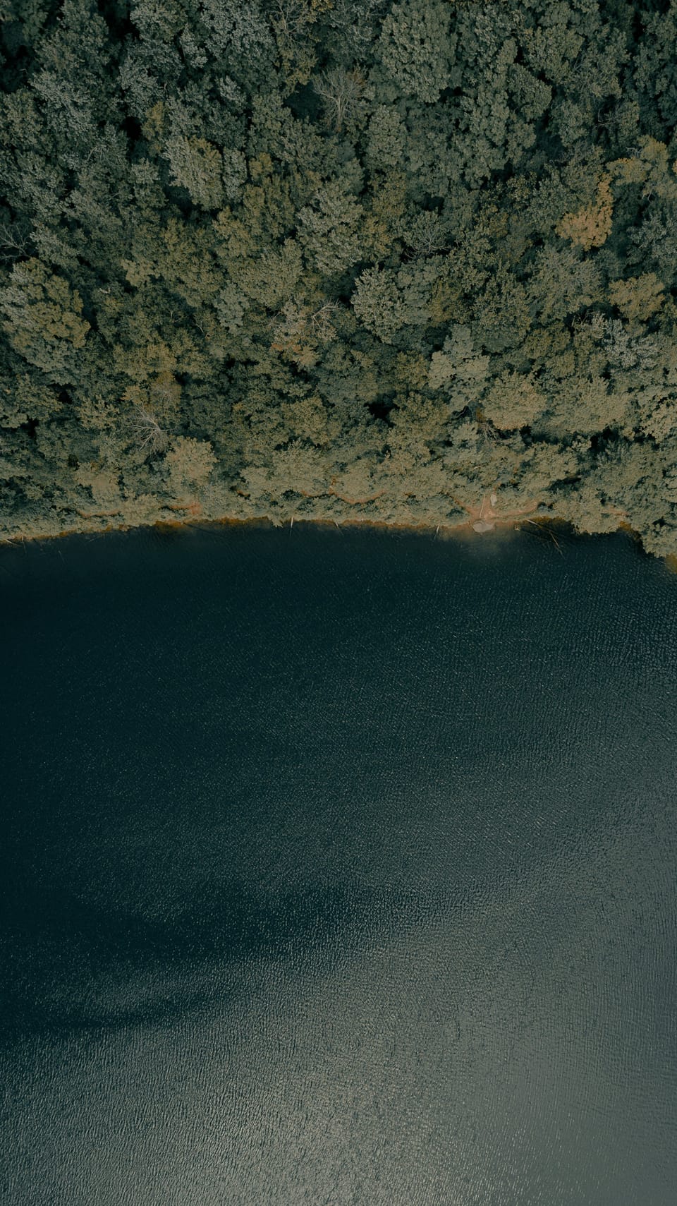 Beaverkill River: Birthplace of American Fly Fishing