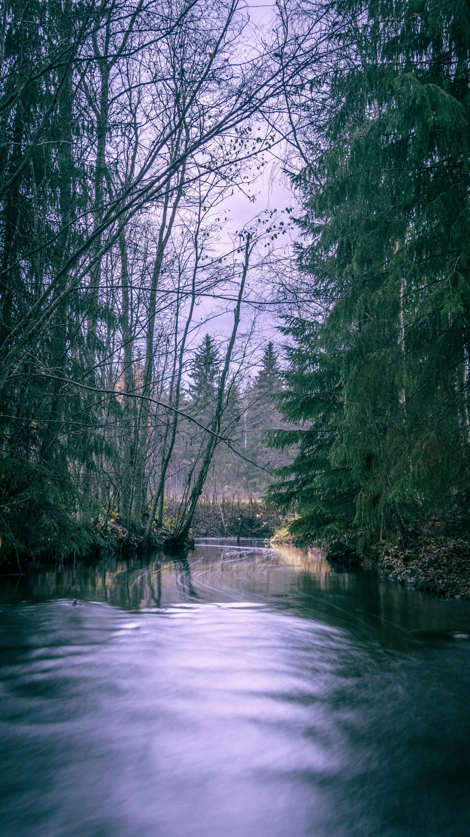 The Magic of Opening Day